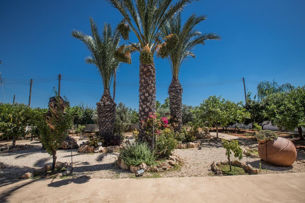 Papas Family Villa Paralimni Luaran gambar